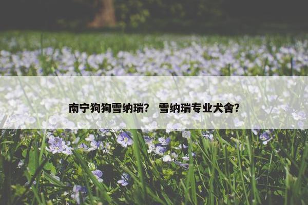 南宁狗狗雪纳瑞？ 雪纳瑞专业犬舍？