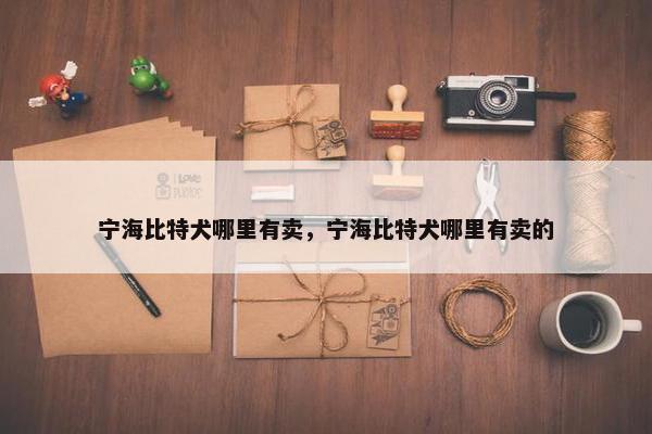 宁海比特犬哪里有卖，宁海比特犬哪里有卖的