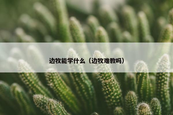 边牧能学什么（边牧难教吗）