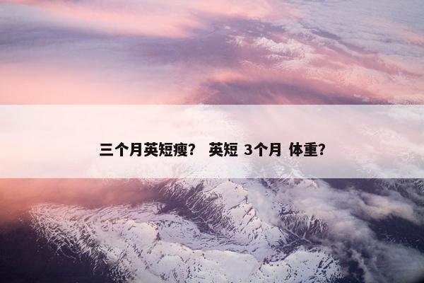 三个月英短瘦？ 英短 3个月 体重？