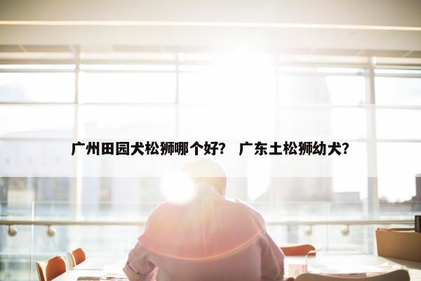 广州田园犬松狮哪个好？ 广东土松狮幼犬？