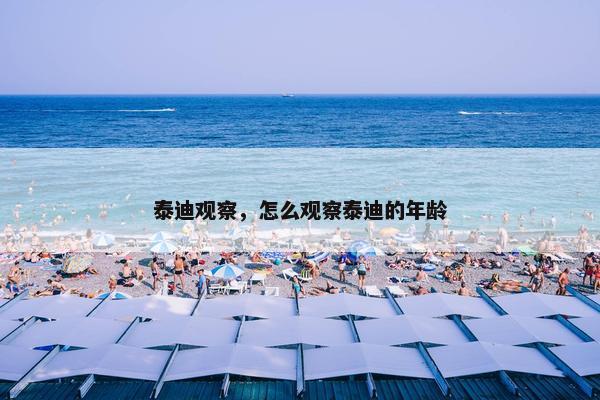 泰迪观察，怎么观察泰迪的年龄