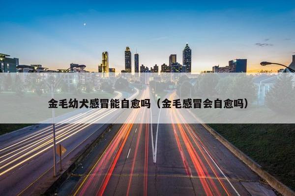 金毛幼犬感冒能自愈吗（金毛感冒会自愈吗）