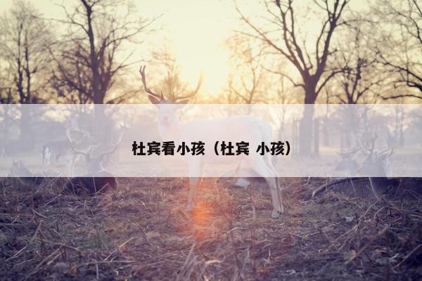 杜宾看小孩（杜宾 小孩）