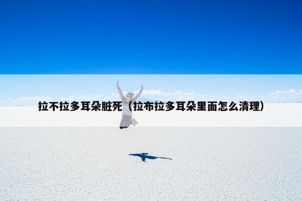 拉不拉多耳朵脏死（拉布拉多耳朵里面怎么清理）