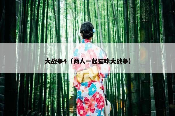 大战争4（两人一起猫咪大战争）