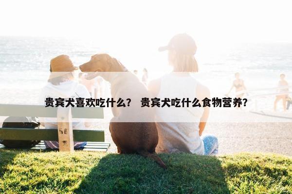 贵宾犬喜欢吃什么？ 贵宾犬吃什么食物营养？