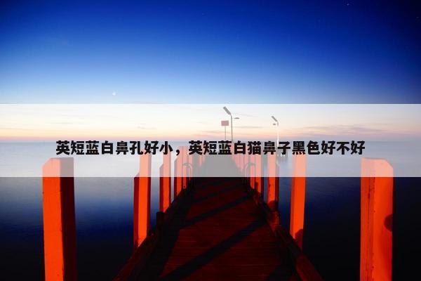 英短蓝白鼻孔好小，英短蓝白猫鼻子黑色好不好