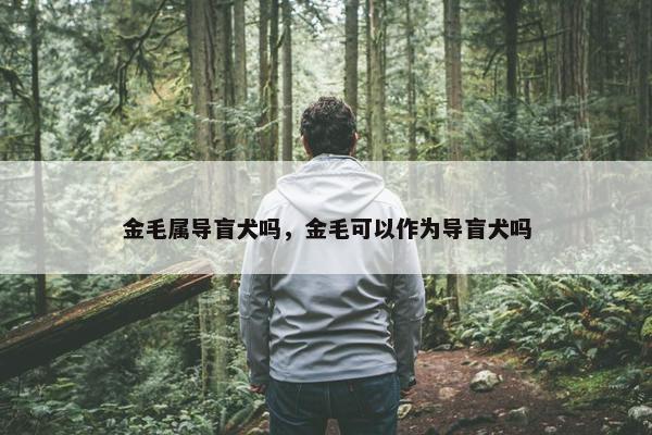 金毛属导盲犬吗，金毛可以作为导盲犬吗