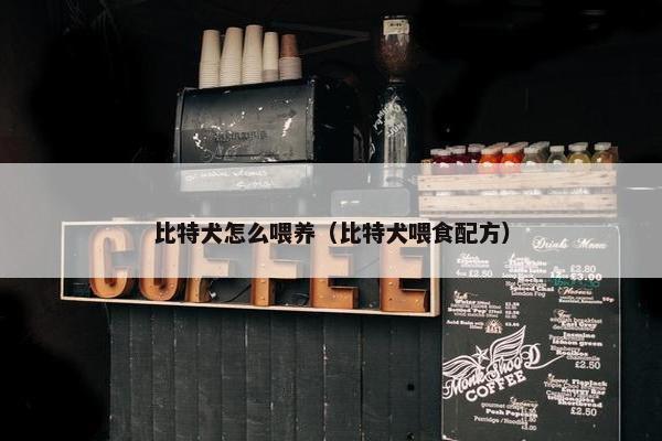 比特犬怎么喂养（比特犬喂食配方）