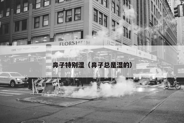 鼻子特别湿（鼻子总是湿的）