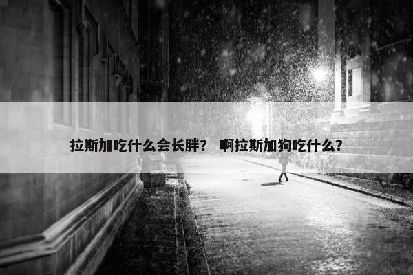 拉斯加吃什么会长胖？ 啊拉斯加狗吃什么？
