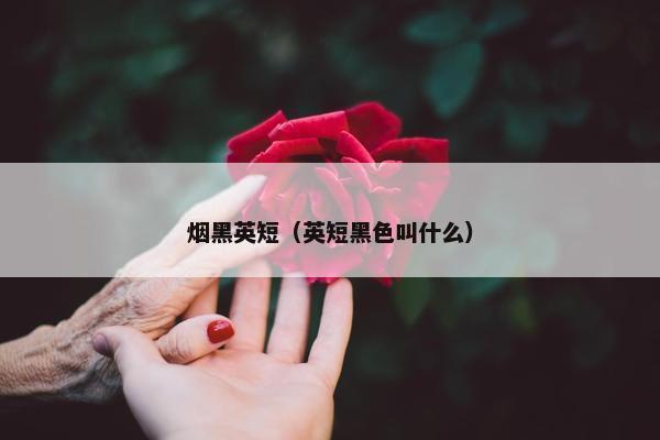 烟黑英短（英短黑色叫什么）