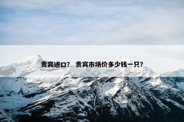 贵宾进口？ 贵宾市场价多少钱一只？