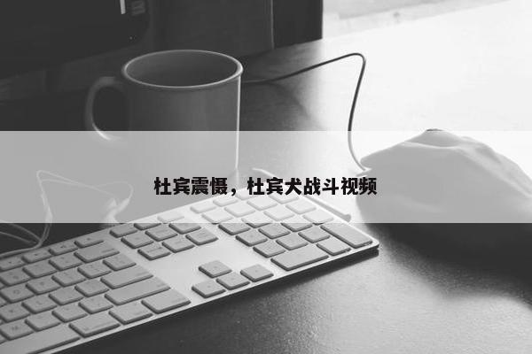 杜宾震慑，杜宾犬战斗视频