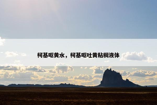 柯基呕黄水，柯基呕吐黄粘稠液体