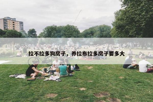 拉不拉多狗房子，养拉布拉多房子要多大