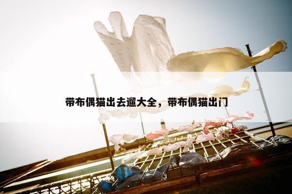 带布偶猫出去遛大全，带布偶猫出门