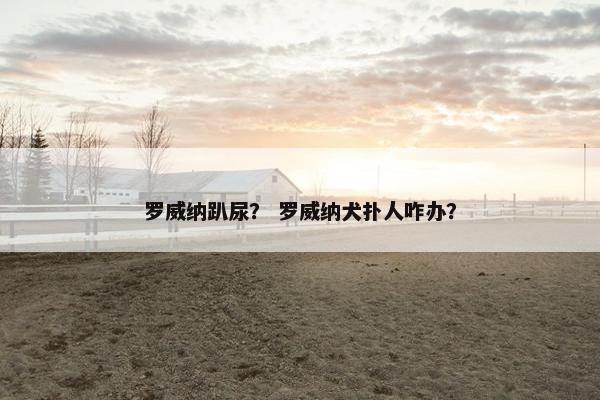 罗威纳趴尿？ 罗威纳犬扑人咋办？