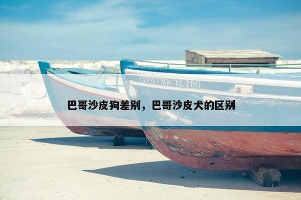 巴哥沙皮狗差别，巴哥沙皮犬的区别