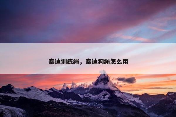 泰迪训练绳，泰迪狗绳怎么用