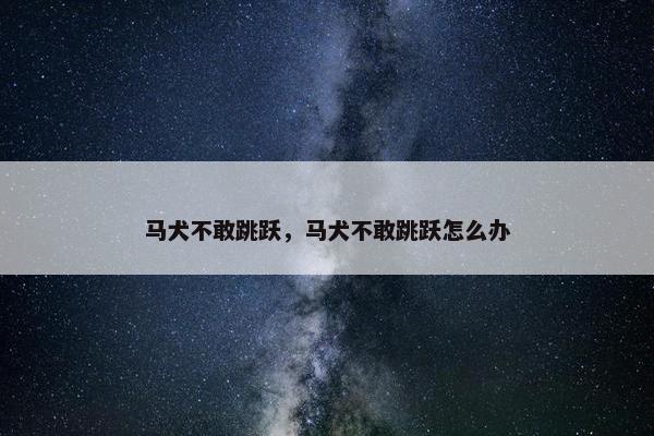 马犬不敢跳跃，马犬不敢跳跃怎么办