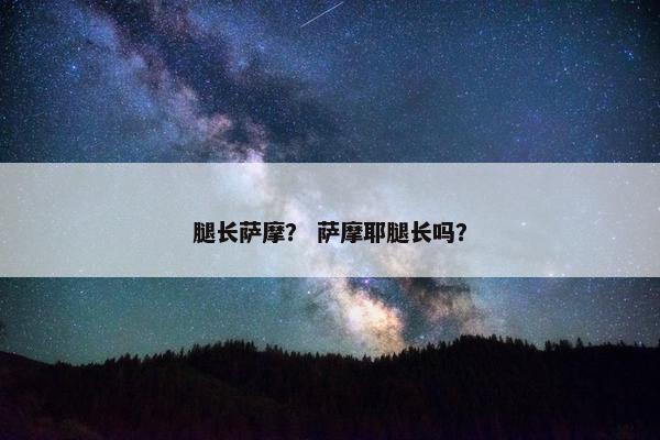腿长萨摩？ 萨摩耶腿长吗？