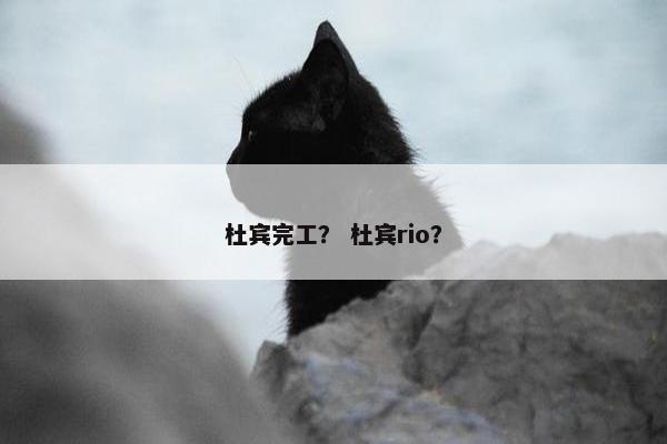 杜宾完工？ 杜宾rio？