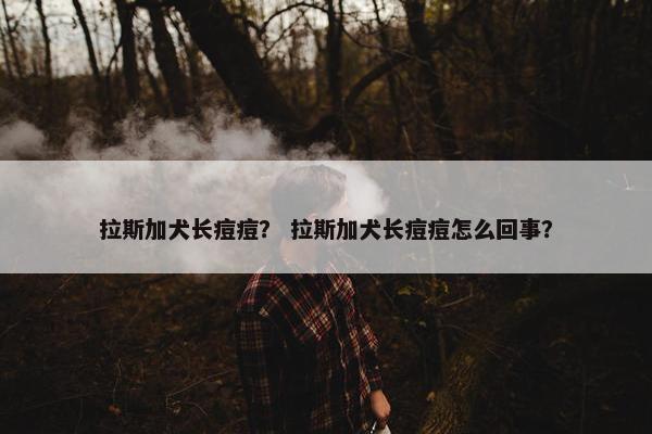 拉斯加犬长痘痘？ 拉斯加犬长痘痘怎么回事？