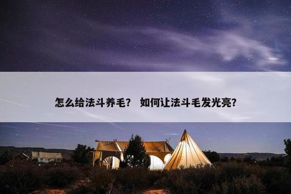 怎么给法斗养毛？ 如何让法斗毛发光亮？