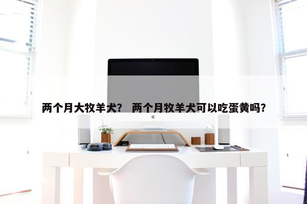 两个月大牧羊犬？ 两个月牧羊犬可以吃蛋黄吗？