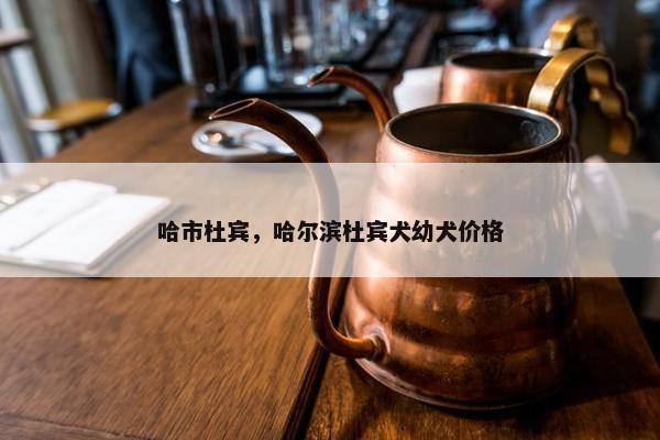 哈市杜宾，哈尔滨杜宾犬幼犬价格