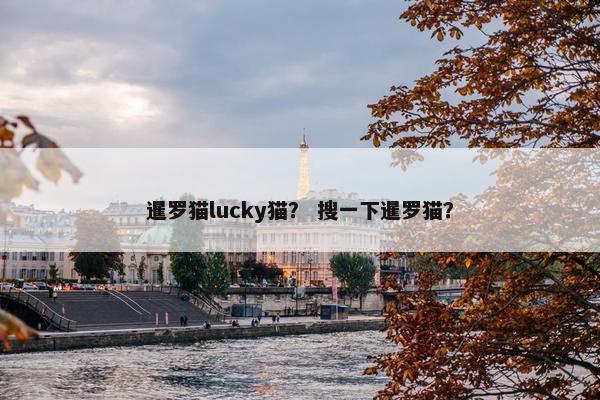 暹罗猫lucky猫？ 搜一下暹罗猫？