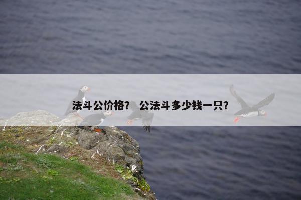法斗公价格？ 公法斗多少钱一只？
