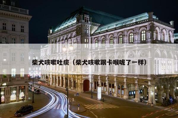 柴犬咳嗽吐痰（柴犬咳嗽跟卡喉咙了一样）