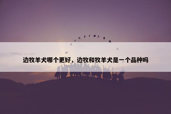 边牧羊犬哪个更好，边牧和牧羊犬是一个品种吗