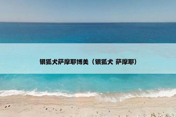 银狐犬萨摩耶博美（银狐犬 萨摩耶）