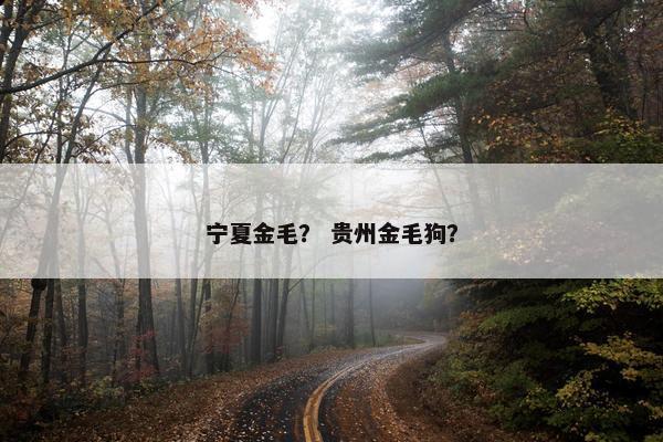 宁夏金毛？ 贵州金毛狗？