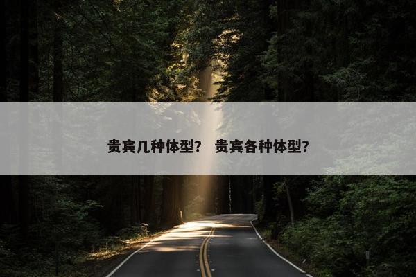 贵宾几种体型？ 贵宾各种体型？