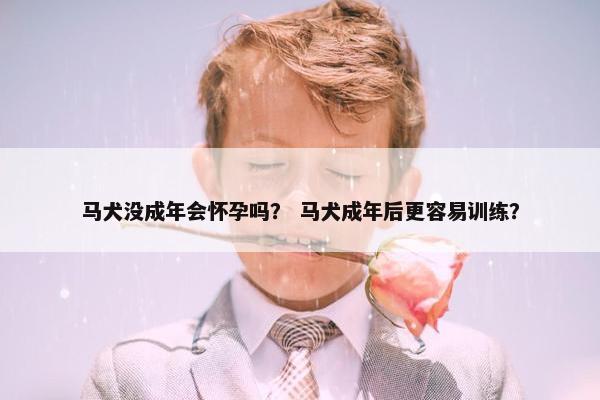 马犬没成年会怀孕吗？ 马犬成年后更容易训练？