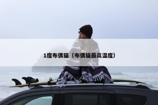 1度布偶猫（布偶猫最高温度）