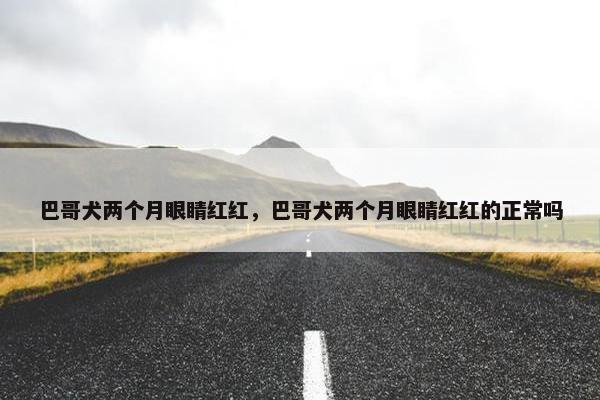 巴哥犬两个月眼睛红红，巴哥犬两个月眼睛红红的正常吗