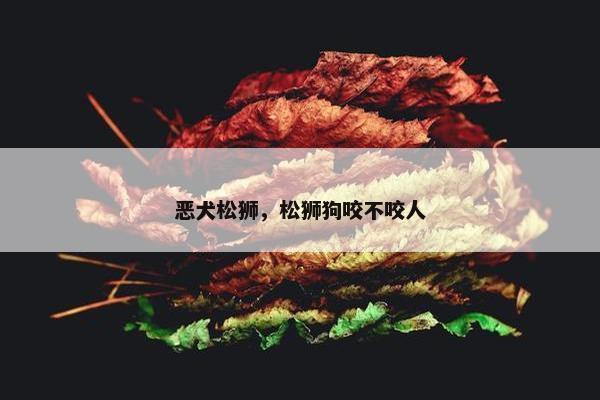 恶犬松狮，松狮狗咬不咬人