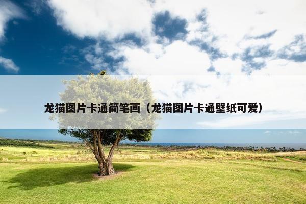龙猫图片卡通简笔画（龙猫图片卡通壁纸可爱）