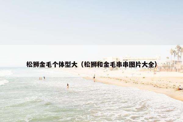 松狮金毛个体型大（松狮和金毛串串图片大全）