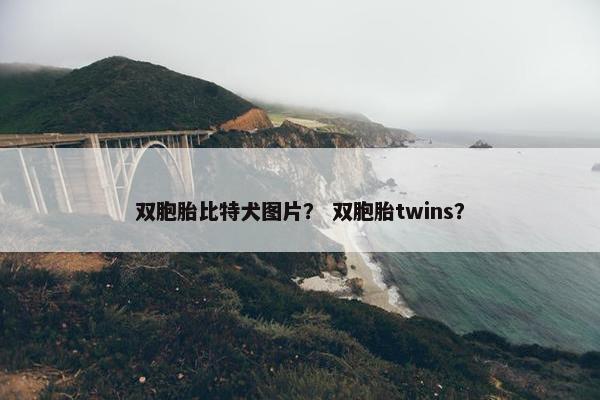 双胞胎比特犬图片？ 双胞胎twins？