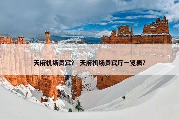 天府机场贵宾？ 天府机场贵宾厅一览表？