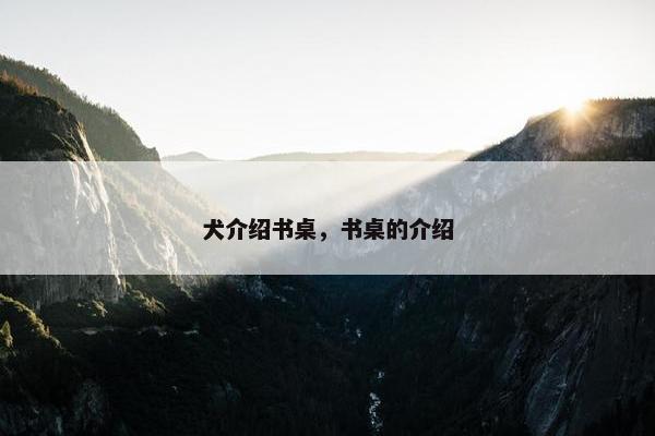 犬介绍书桌，书桌的介绍
