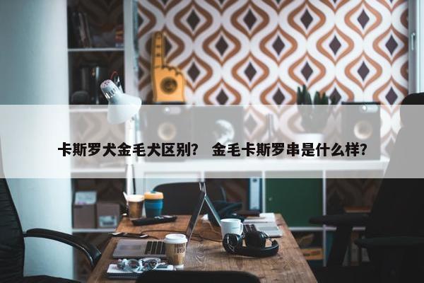 卡斯罗犬金毛犬区别？ 金毛卡斯罗串是什么样？