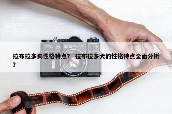 拉布拉多狗性格特点？ 拉布拉多犬的性格特点全面分析？